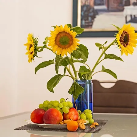 Kaleta Garden Apartment